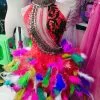 Robe En Paillettes Et Plumes