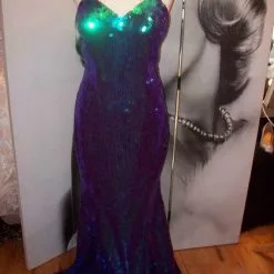 Fourreau Irrise Sur Mesures