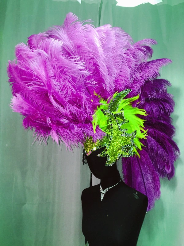 Crête En Plumes D'autruche 3 Crête En Plumes D'autruche