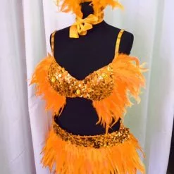 Ensemble Plumes De Coq