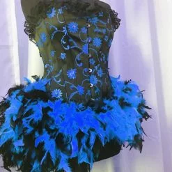 Corset Burlesque Plumes