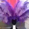 Casque En Plumes D'autruches -Halloween Soldes Magasin 800x800 65