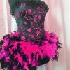 Corset Burlesque Plumes