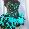 Corset Burlesque Plumes