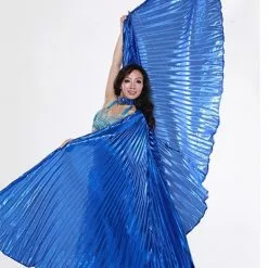 Grandes Ailes En Tissu