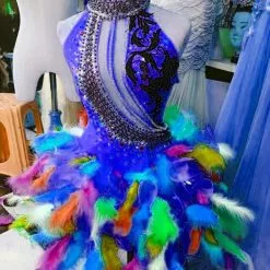 Robe En Paillettes Et Plumes