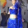 Costume Plumes Et Paillettes