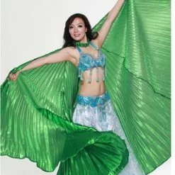 Grandes Ailes En Tissu