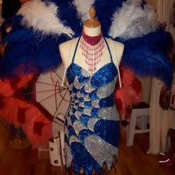 Demi Roue Plumes D'autruche