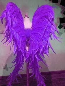 Ailes En Plumes De Coq