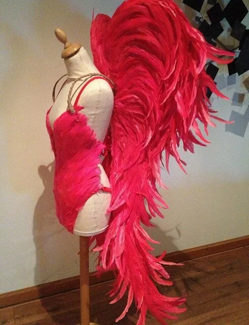 Ailes En Plumes De Coq 3 Ailes En Plumes De Coq