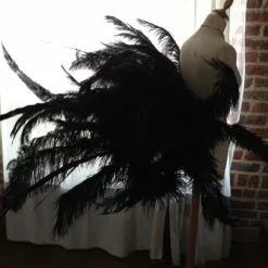 Faux Cul En Plumes Faisan, Autruche