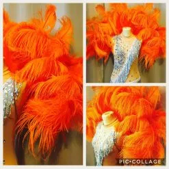 Demie Roue En Plumes D'autruche Torsadées Et Floss