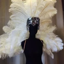 Ensemble Dos De Plumes + Casque