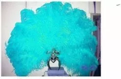 Casque En Autruche Et Strass