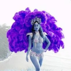 Armature En Plumes D'autruche