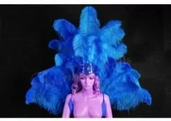 Demie Roue Et Casque