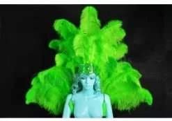 Demie Roue Et Casque