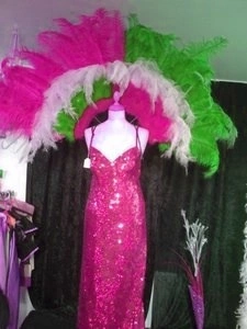 Demie Roue En Autruche Et Floss