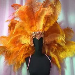Ensemble Dos De Plumes + Casque