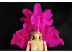 Demie Roue Et Casque