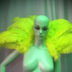 Petite Demie Roue En Plumes