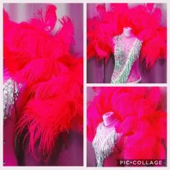 Demie Roue En Plumes D'autruche Torsadées