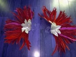 Armatures De Bras En Plumes De Coq